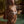 BONNIE - Bandeau - Lurex