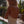 CÉLINE - Swimmer one-piece - Seashell