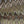 CHARLES - T-shirt - Chevron